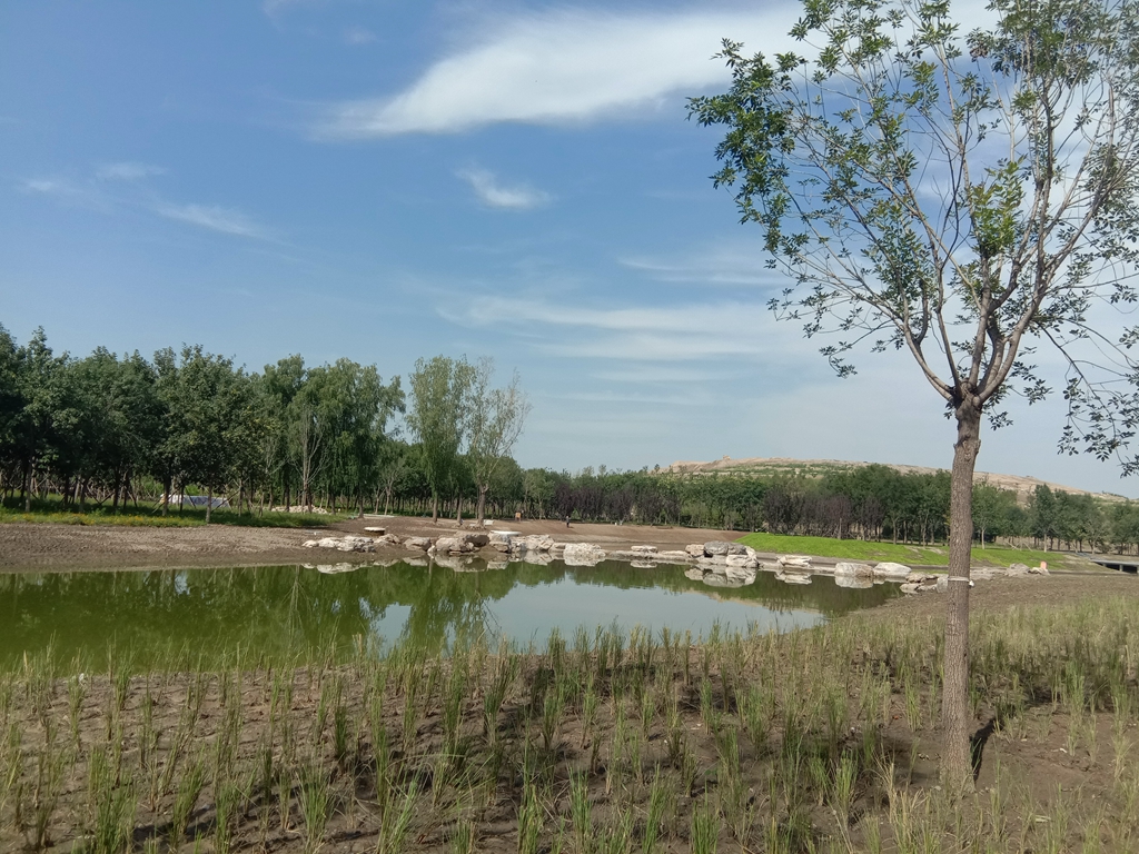 北京南城平地起 山丘 南苑森林湿地公园 造山挖湖 复兴网 中国领先的综合门户网站