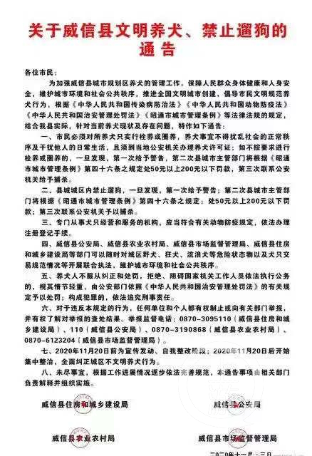 11月13日云南威信县新出台的犬只管理规定引发舆论关注。 威信县政府 图