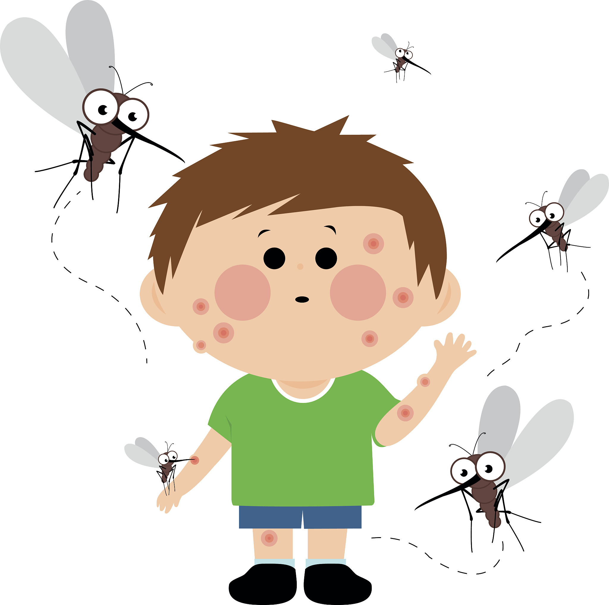 只切掉蚊子的全部腿，而不破坏蚊子其他身体部分，蚊子还能飞起来么？ - 知乎