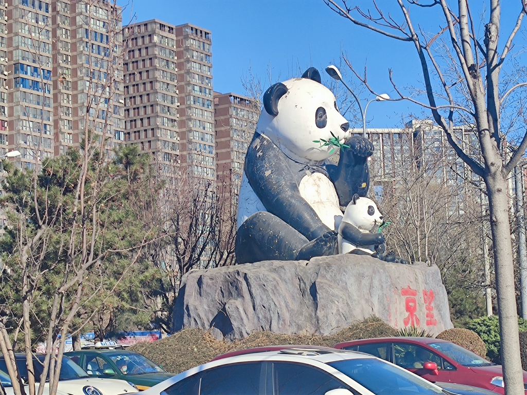 明年元旦 望京的新“熊猫”有望“上岗”